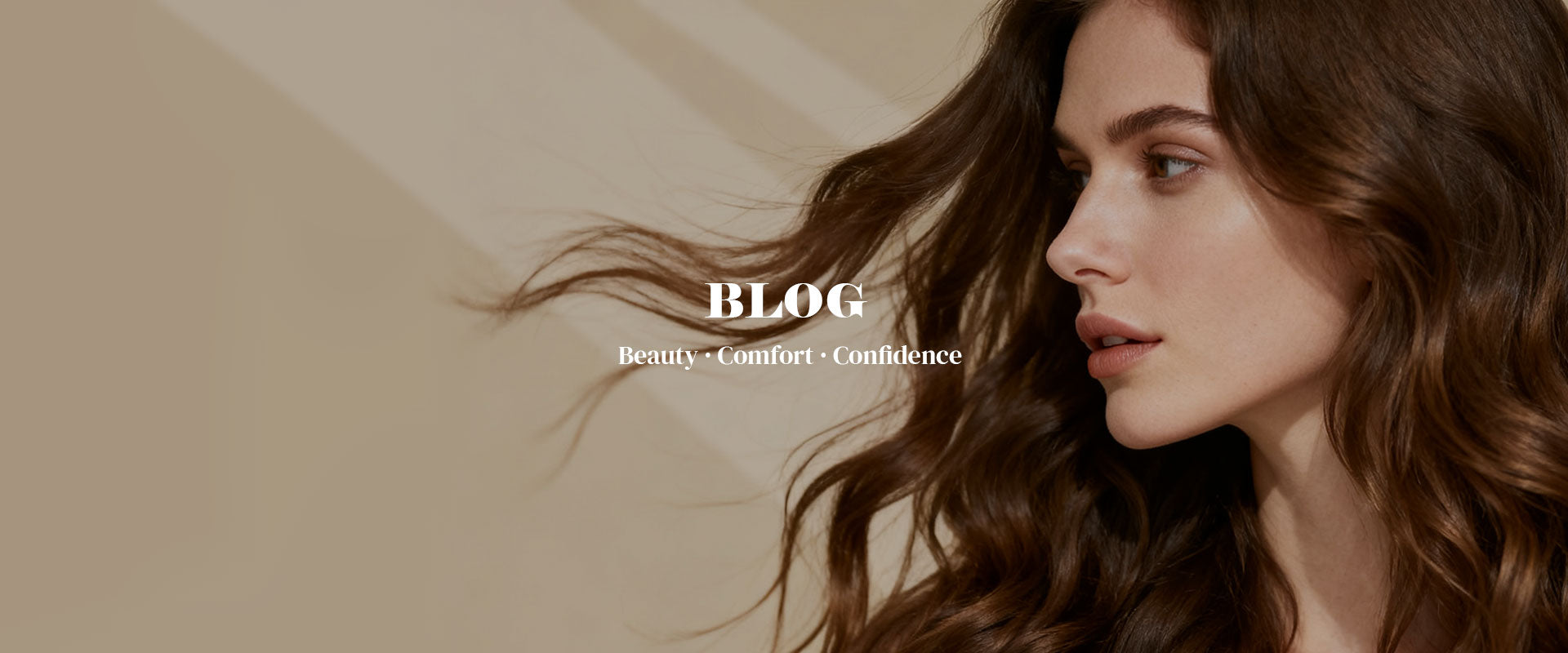 blogs banner pc